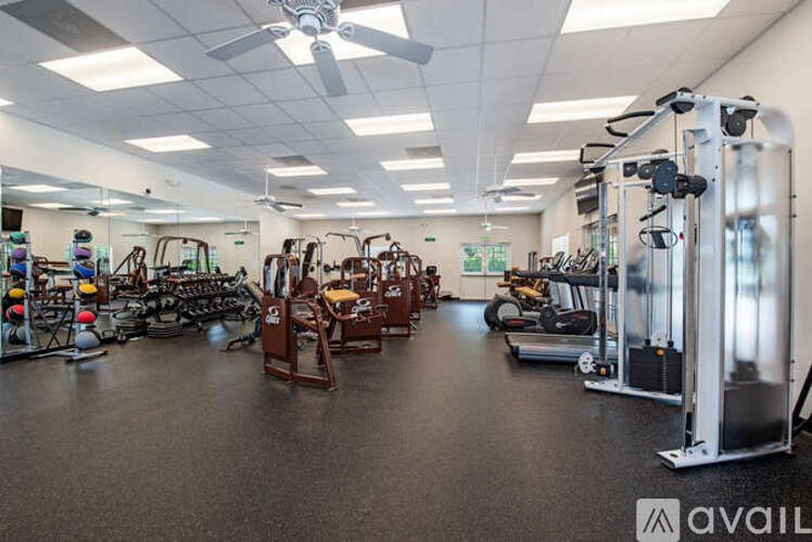 A gym with a variety of exercise equipment including treadmills, stationary bikes, and weight machines.