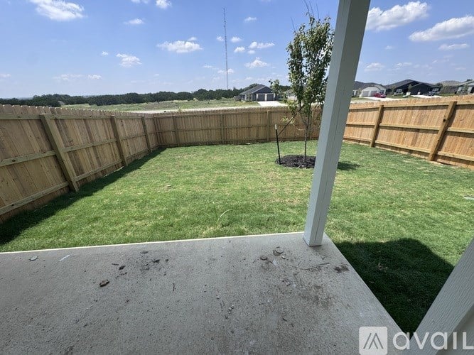 A backyard with a small tree and a wooden fence.