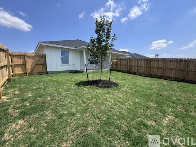 A backyard with a white house, a small tree, and a fence.