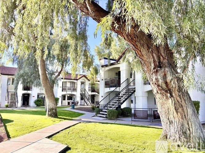 A tree in front of a white building with a black railing.