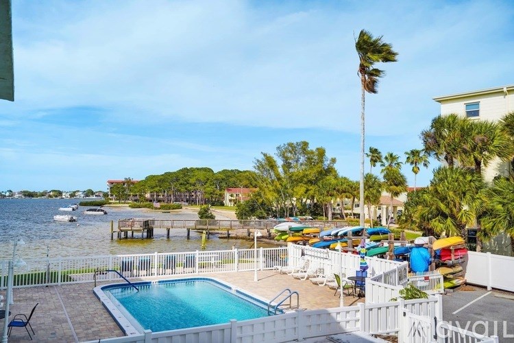 A pool area with a white fence and a palm tree.
