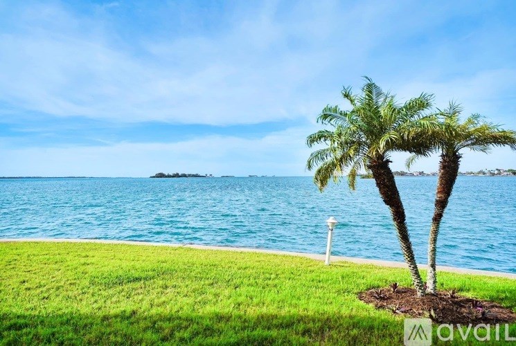 A palm tree stands on a grassy area by the water.