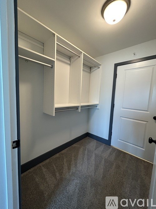 A white closet with a carpeted floor and a white door.