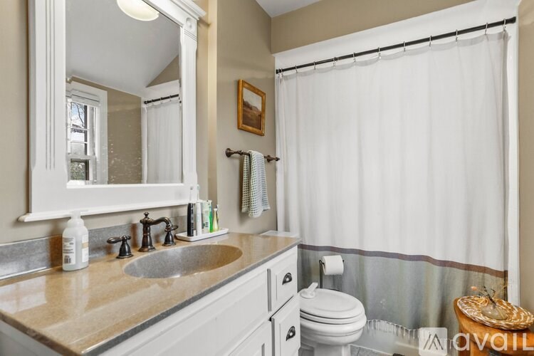 A bathroom with a sink, mirror, toilet, and shower curtain.