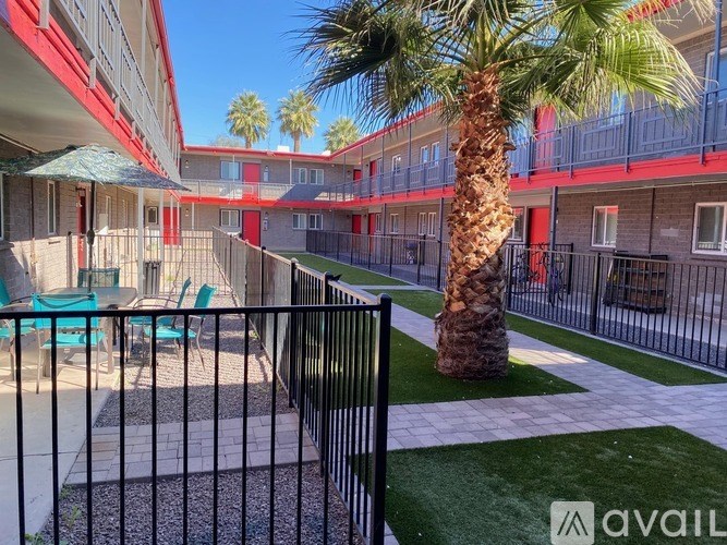 A palm tree stands in a courtyard with a black fence.