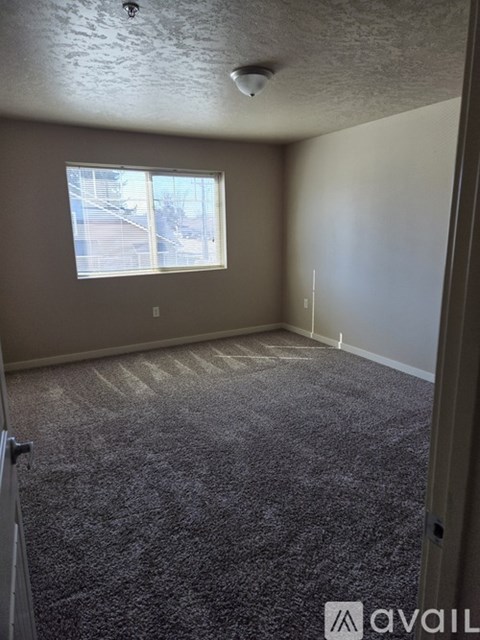 A room with a carpeted floor and a window.