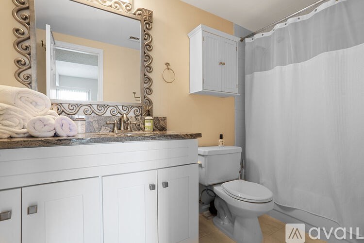 A bathroom with a white toilet, sink, and shower curtain.
