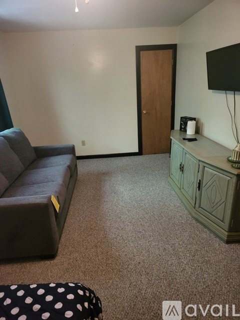 A living room with a grey couch and a green cabinet.
