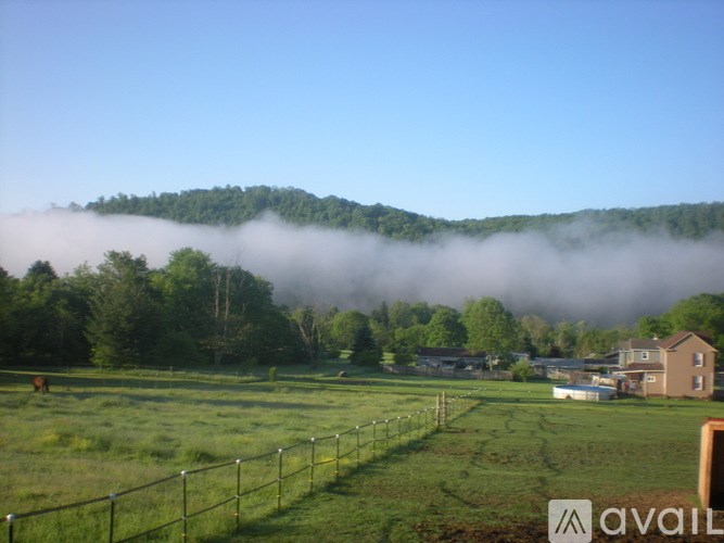 A grassy field with a fence and houses in the distance, with a mountain covered in trees in the background.