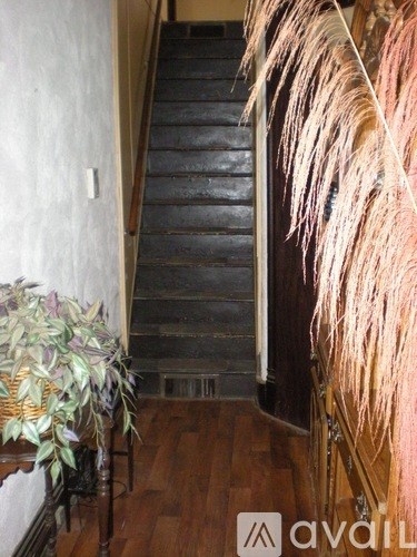 A wooden staircase with a plant on the side.