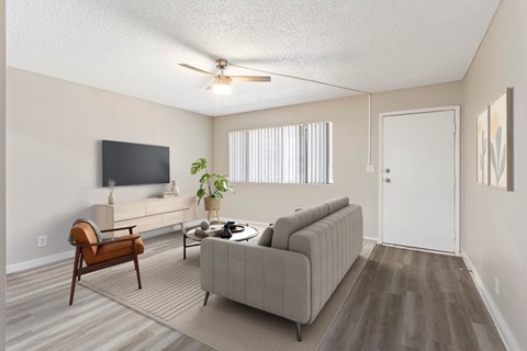 A living room with a grey sofa, a wooden chair, a television, and a potted plant.