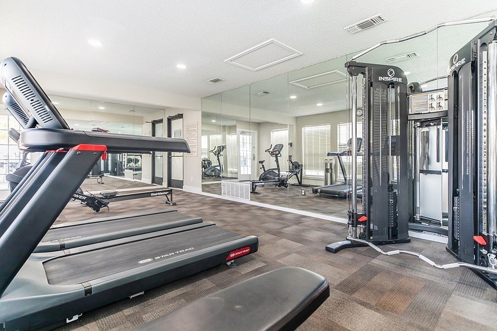 A gym with treadmills, weights, and other equipment.