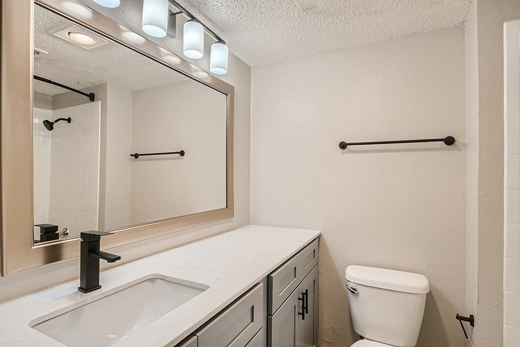 A bathroom with a sink, toilet, and mirror.