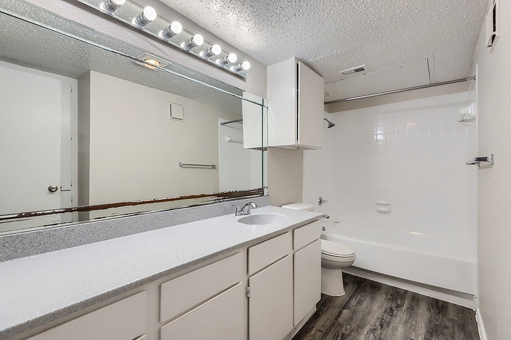 A bathroom with a vanity, toilet, and a bathtub.