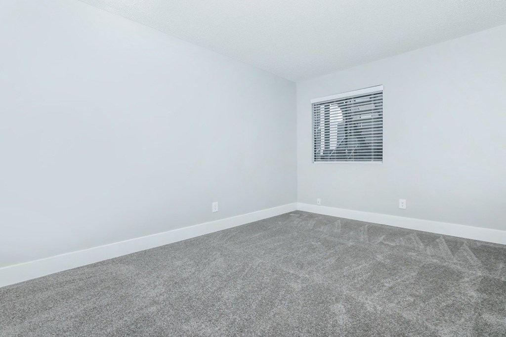 A room with a grey carpet and a window with blinds.