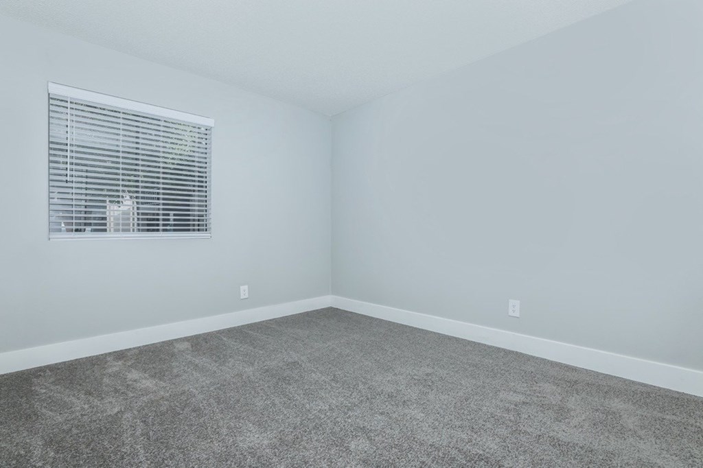 A room with a carpeted floor and a window with blinds.