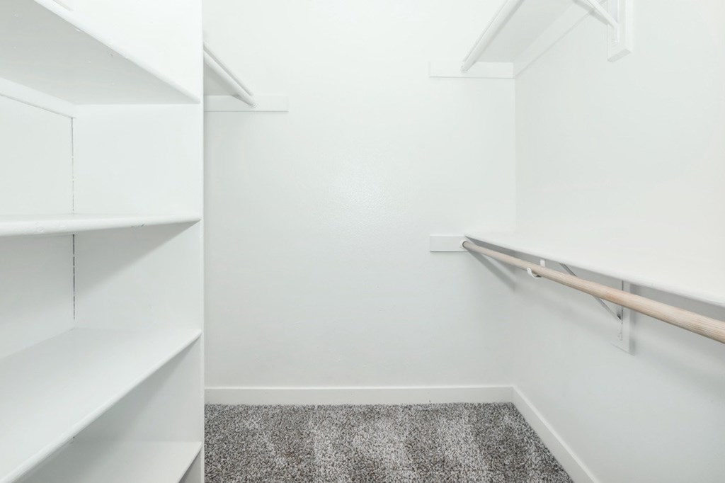 A white closet with shelves and a carpeted floor.