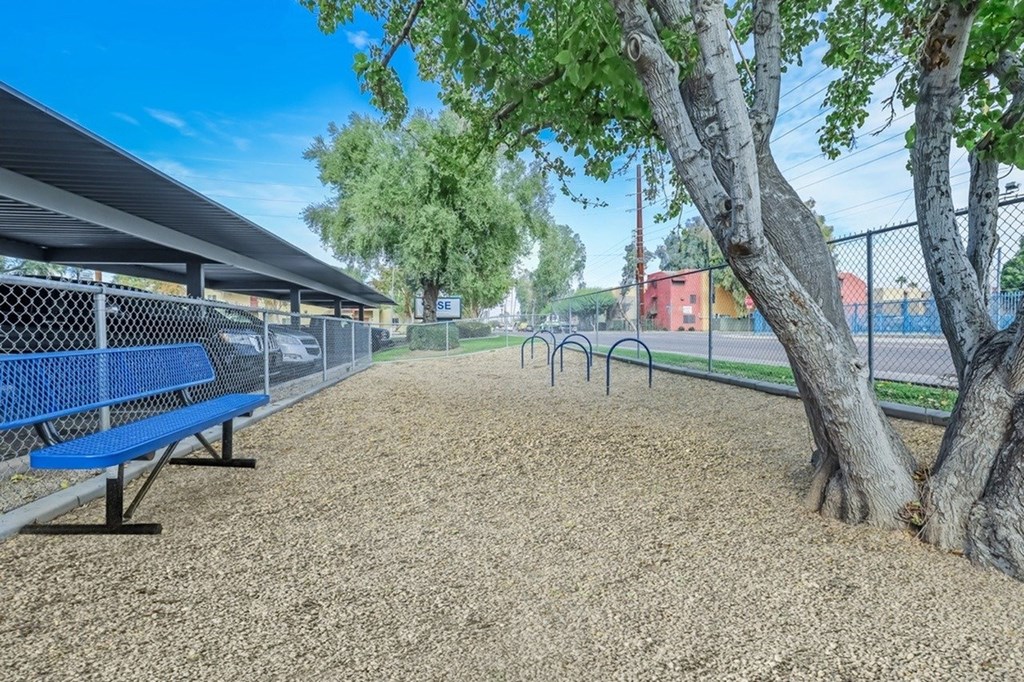 A park with a blue bench and a tree.