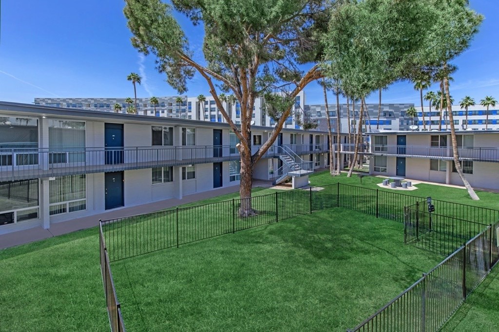 A tree in a yard in front of apartment buildings.