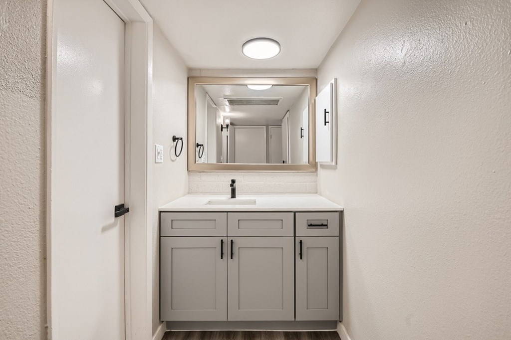 A bathroom with a sink and a mirror.