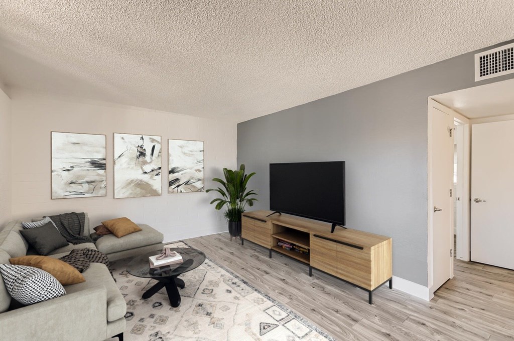 A living room with a grey couch, a coffee table, a TV, and a plant.