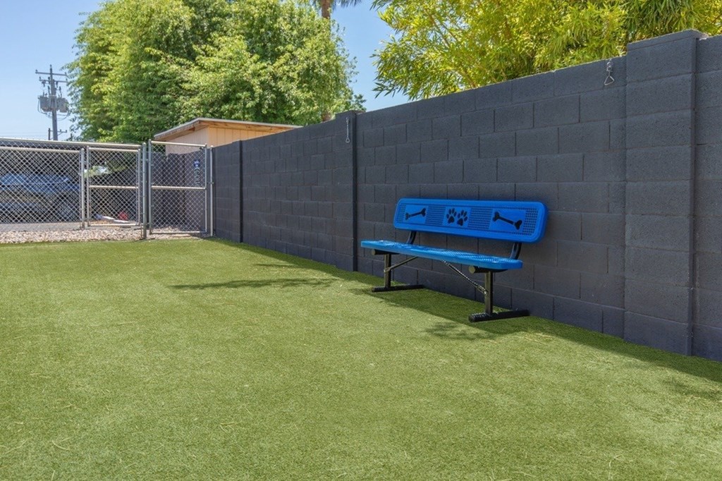 A blue bench sits in front of a grey wall.