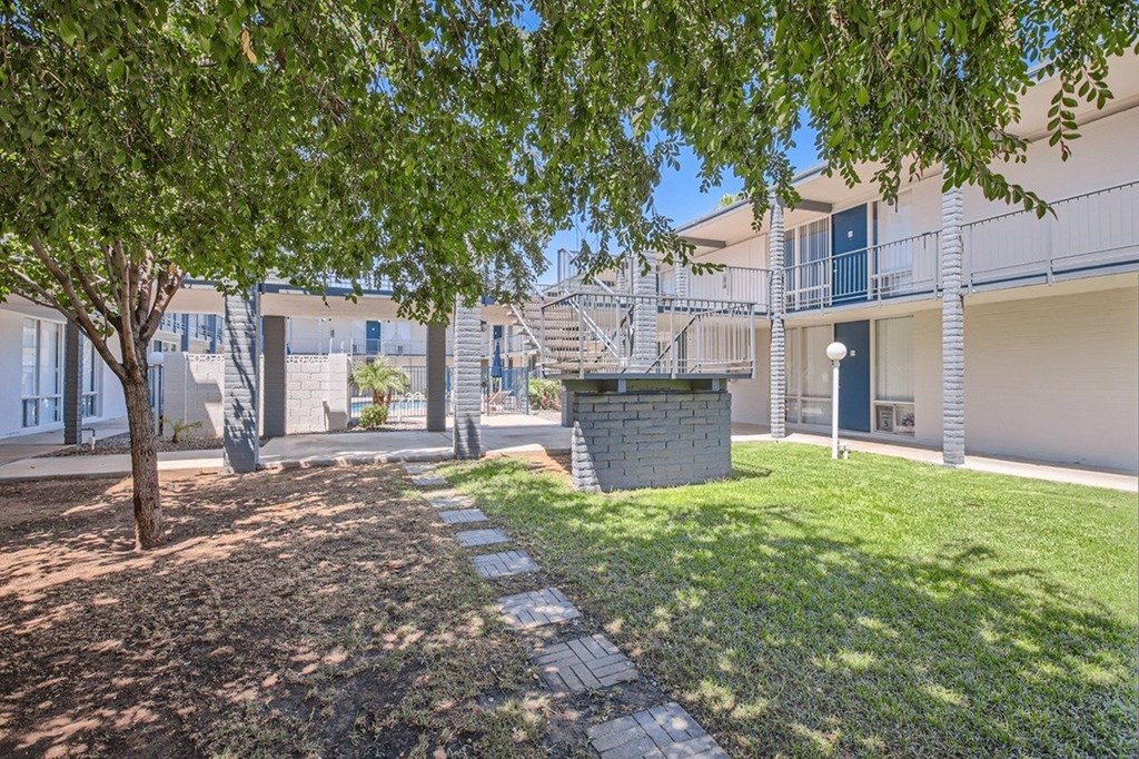 A tree in a courtyard with a building in the background.