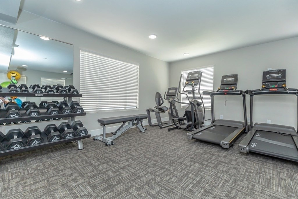 A well-equipped gym with treadmills, dumbbells, and benches.