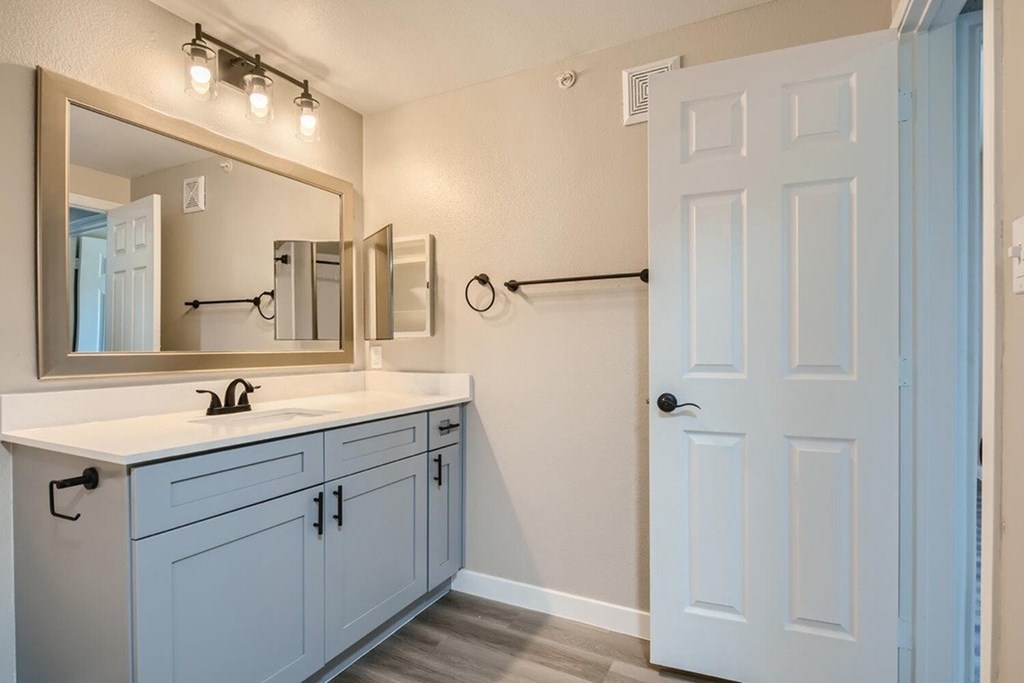 A bathroom with a white sink and a mirror above it.
