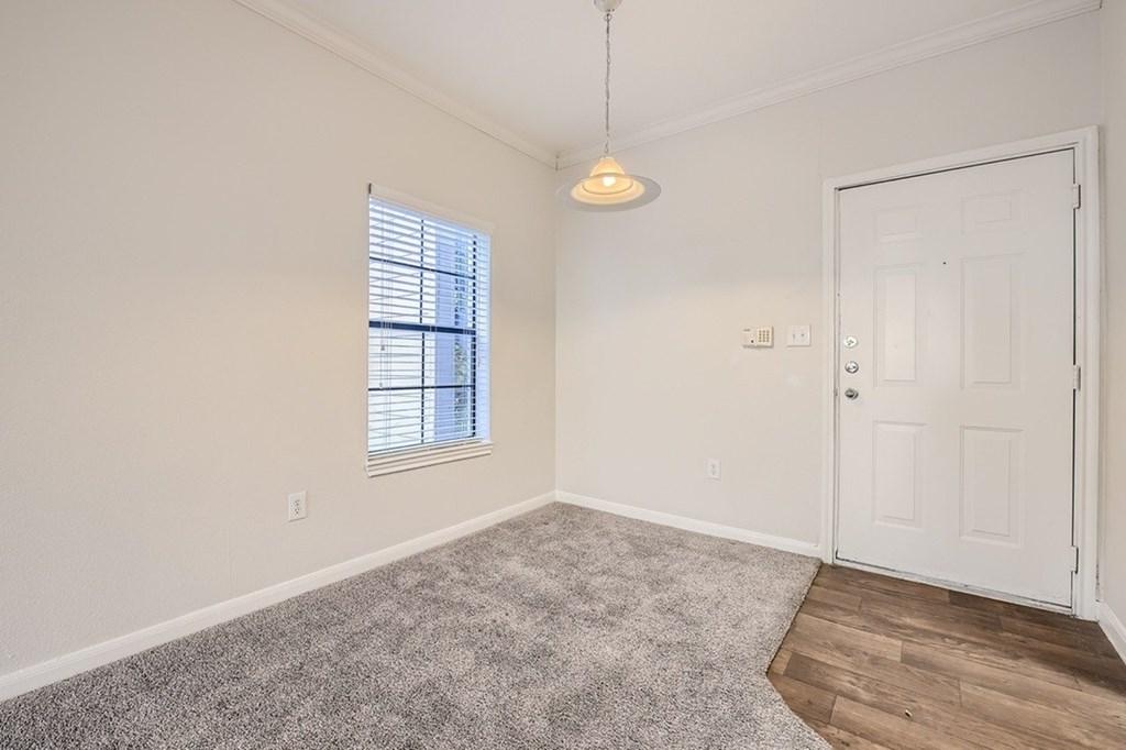 A room with a white door, a window with blinds, and a grey carpet.