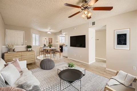 A living room with a couch, a coffee table, and a television.