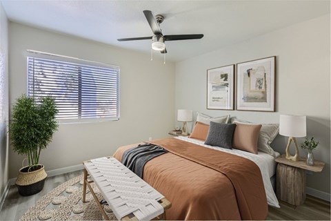 A bedroom with a bed, a plant, and pictures on the wall.