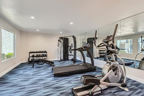 A spacious gym with a variety of equipment including a treadmill, weights, and a rowing machine.