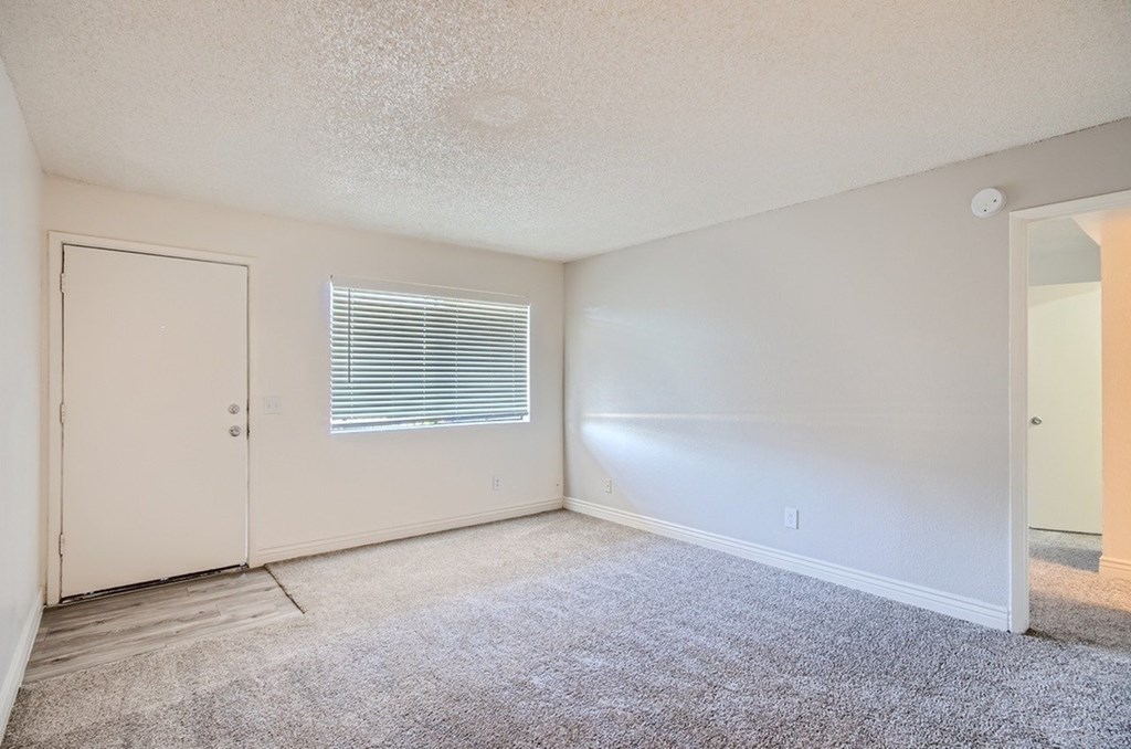 A room with a carpeted floor, a window with blinds, and a door.