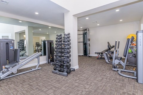 A gym with a variety of equipment including weights and machines.