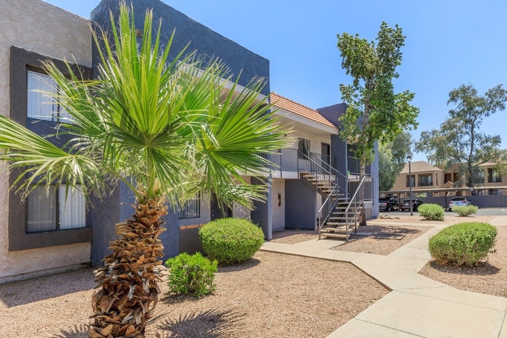 A palm tree stands in front of a modern building.