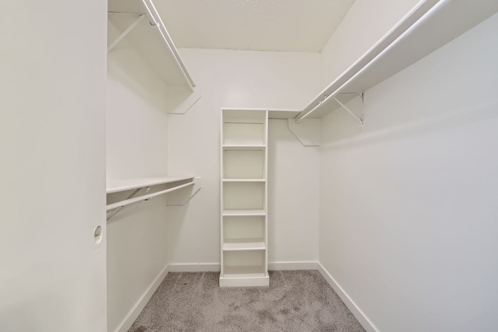 A white shelving unit in a room with a carpeted floor.