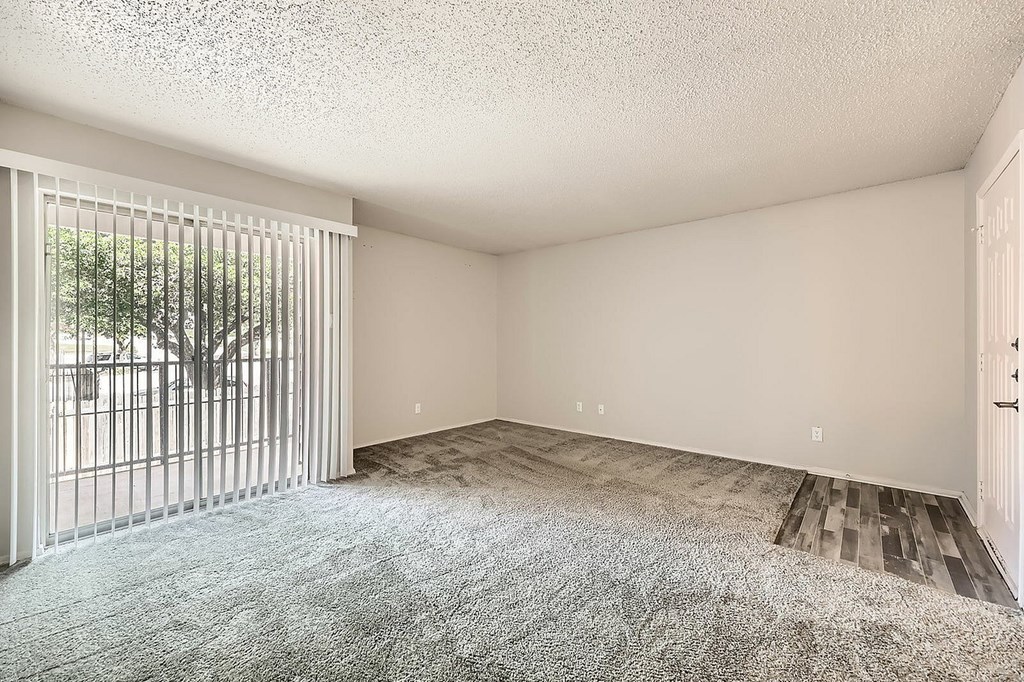 A room with a carpeted floor and a sliding glass door.