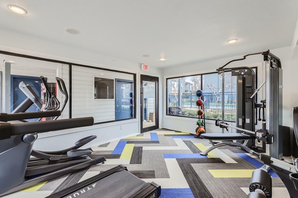 A gym with a variety of equipment including a treadmill, weights, and a bench press.