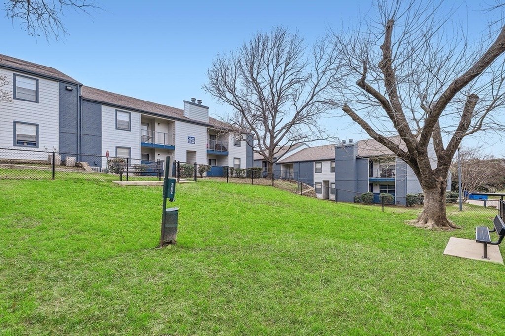 A grassy area in front of apartment buildings with a leafless tree.