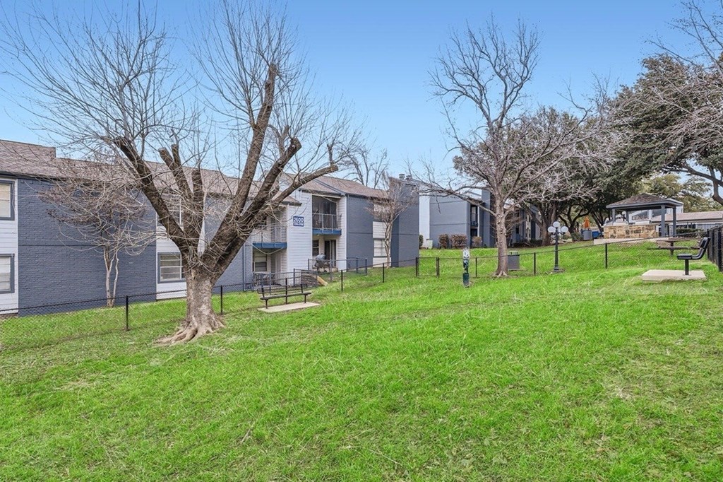 A grassy area with a tree and apartment buildings in the background.
