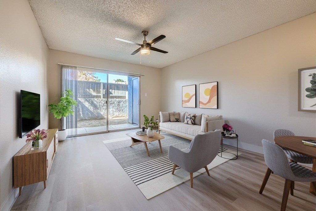 A living room with a grey sofa, a coffee table, and a television.