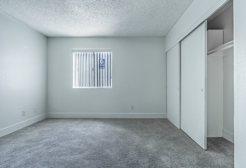 A room with a window and a carpeted floor.