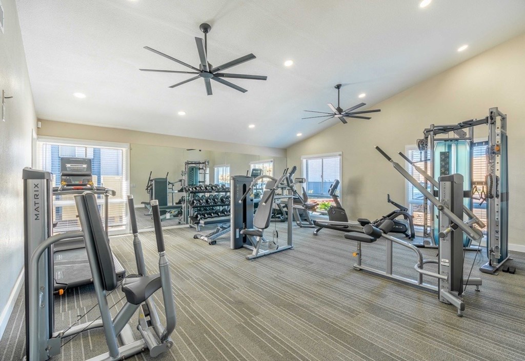 A spacious home gym with a variety of equipment including treadmills, weight machines, and a ceiling fan.