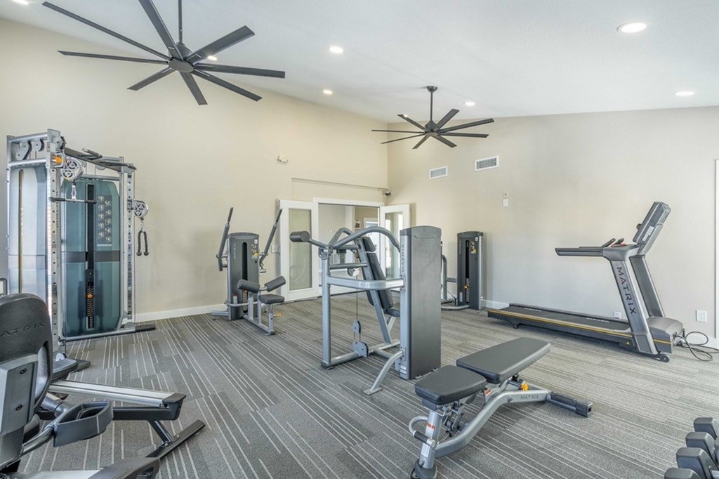 A spacious home gym with a variety of equipment including a treadmill, weights, and a bench press.
