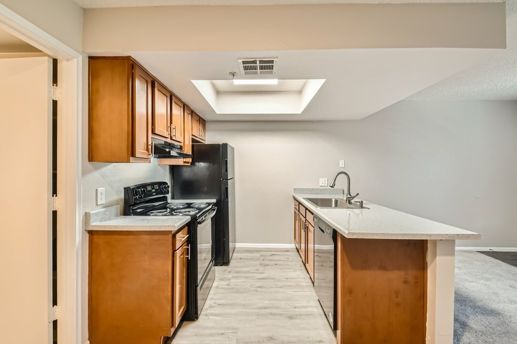 A kitchen with a black refrigerator, stove, and sink.