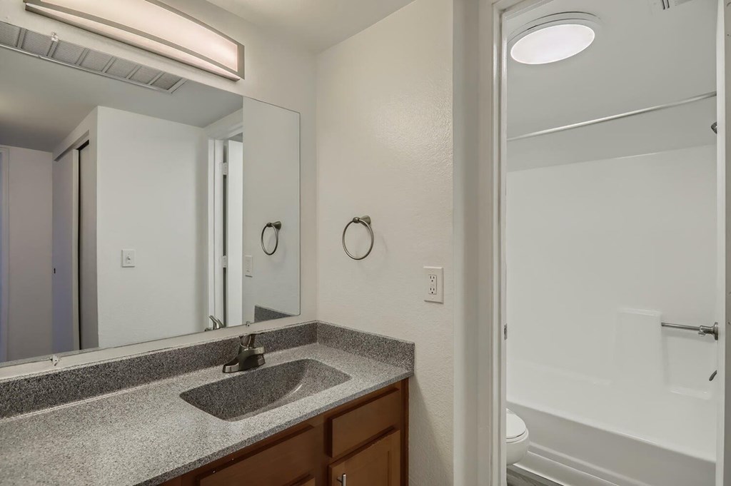 A bathroom with a sink, mirror, and toilet.