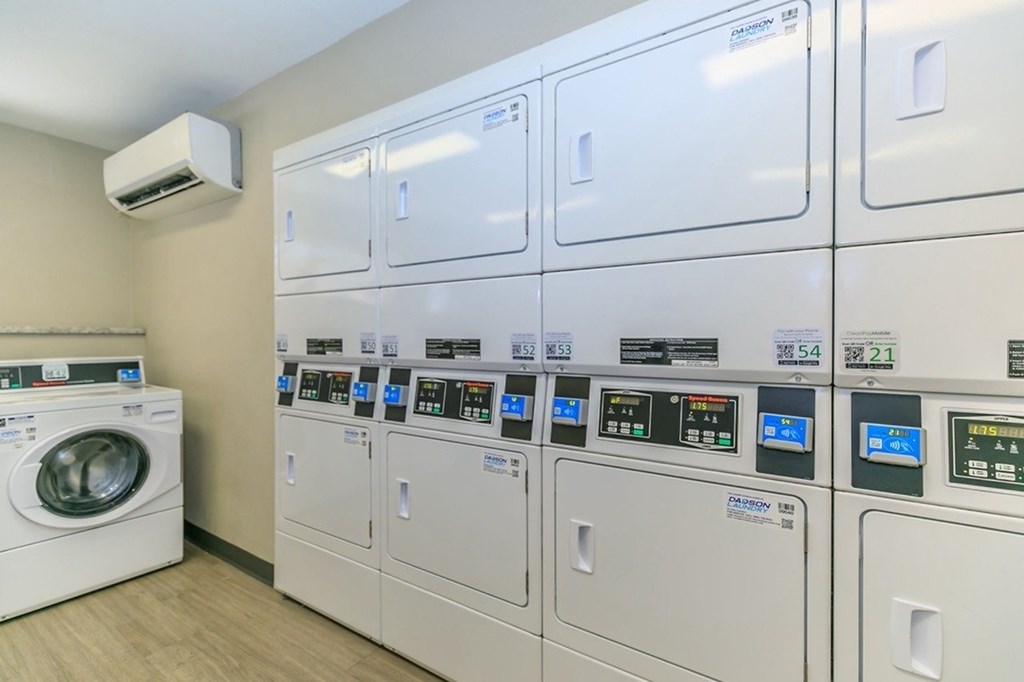 A row of washing machines are lined up in a laundromat.
