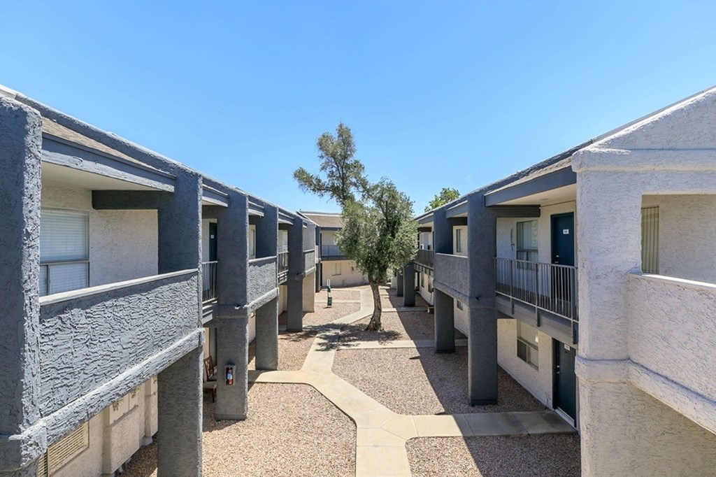 A courtyard surrounded by buildings with a tree in the middle.