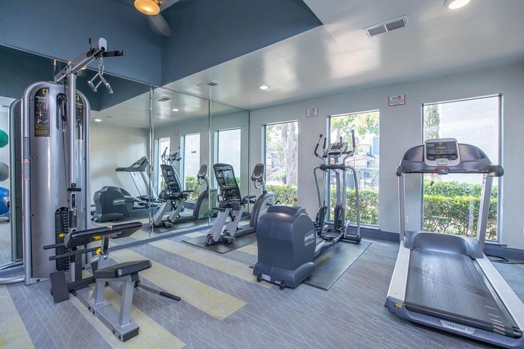 A gym with a variety of equipment including treadmills, weights, and exercise machines.